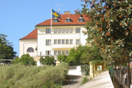 Kick off - Open Garden with Flea Market